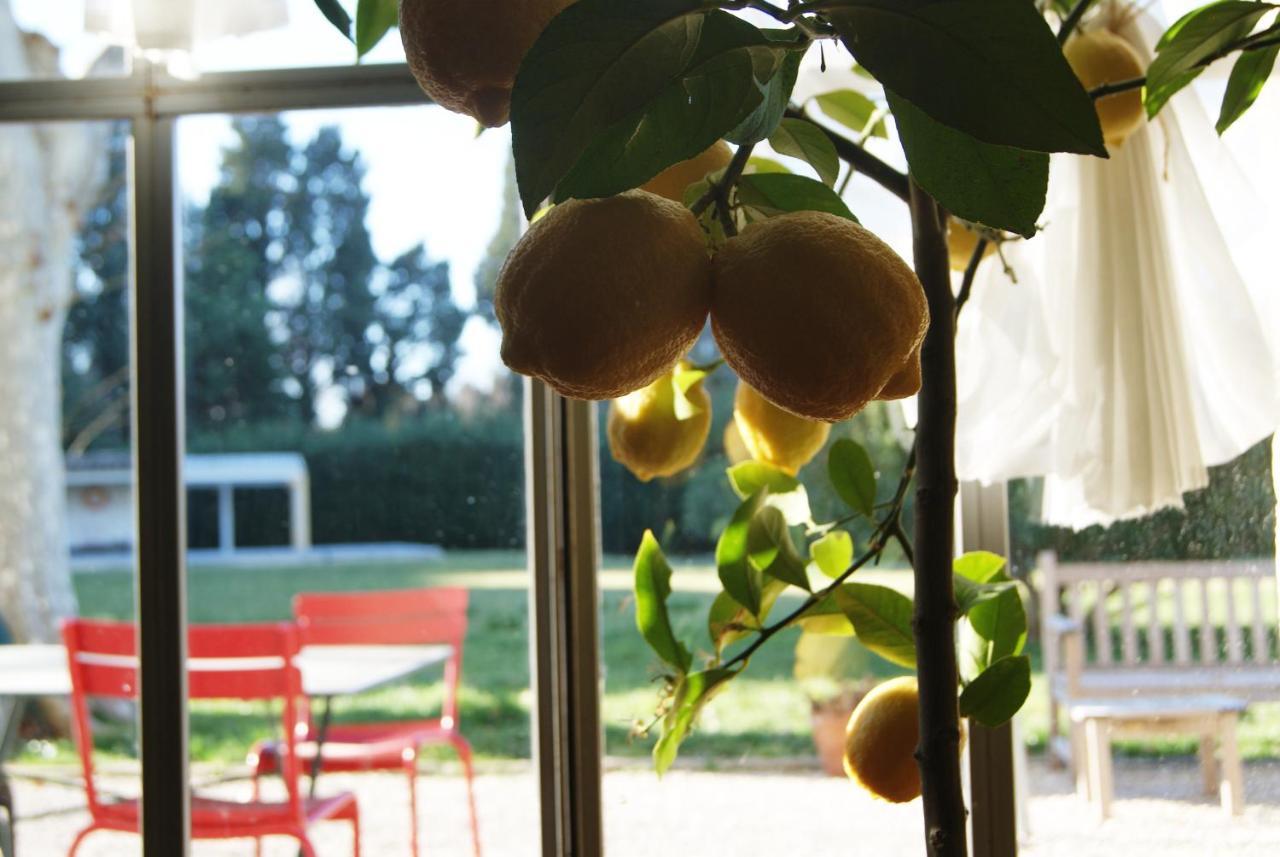 아비뇽 La Ferme De Gigognan B&B 외부 사진